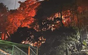 More than 300 hectares damaged so far by Baguio, Benguet .